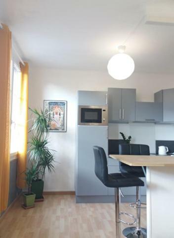 Appt 2Eme Etage Sur L'Ile De Saumur Exterior photo